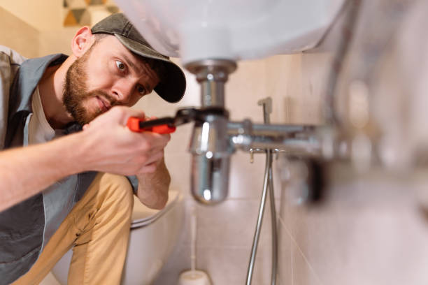 Best Emergency Plumbing Services in Smith Valley, NV